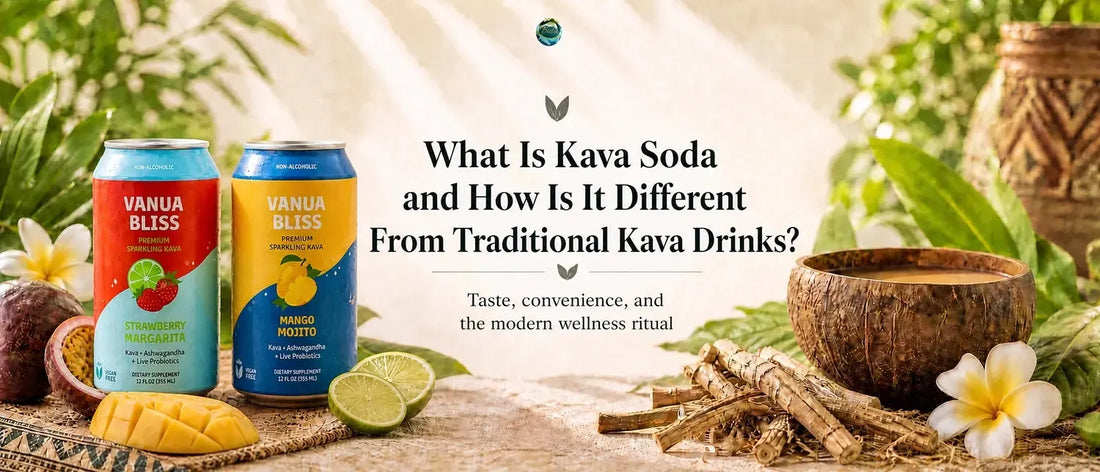 What Is Kava Soda and How Is It Different From Traditional Kava Drinks?